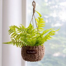 아티파티 고사리 조화 라탄 행잉 화분 세트, 혼합색상, 1세트