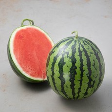 씨오티스토어extendera8짱짱한