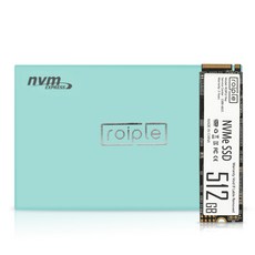 디오테라 NVMe SSD, 512GB, Roiple Ray