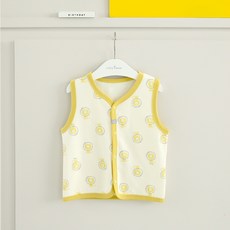 실내조끼