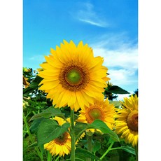 aff395dd-254e-44c3-9481-f8f2df4a99a6.jpg