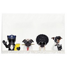 6d7d4f43-fc69-470d-9de7-da45392a0ce9.jpg