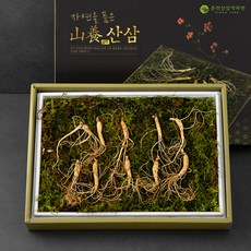 몸애조화 국내산 한국임업진흥원인증 산양삼 5년근 10뿌리 세트, 1세트