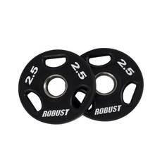 robust원판