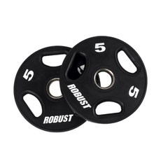 robust원판