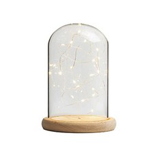 슈와츠코리아 LED 유리돔 무드등 일반형 15 x 21 cm