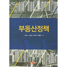 부동산정책