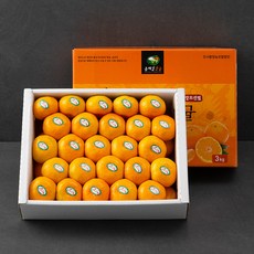 GAP 인증 올레길 당도선별 하우스감귤 선물세트, 3kg, 1박스