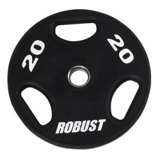 robust원판