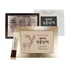 왕혜문녹용단