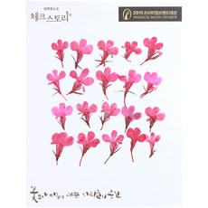 checkstory 壓花半邊蓮, 粉色的