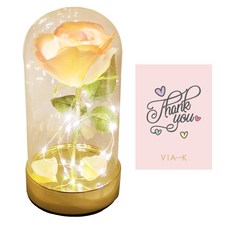 비아케이스튜디오 골드 쁘띠 로즈돔 LED 무드등 + 땡큐카드, 핑크