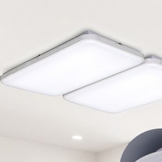 플랜룩스 플리아 시스템 LED 거실등 100W, 주광색