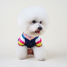 황진이 올인원 반려동물 한복, 혼합색상, 1개