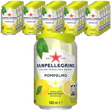 산펠레그리노 폼펠모 탄산음료, 330ml, 24개
