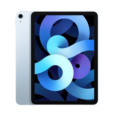 Apple 2020년 iPad Air 10.9 4세대, Wi-Fi, 256GB, 스카이 블루