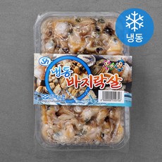 진해수협 국내산 생바지락살 (냉동), 500g, 1개