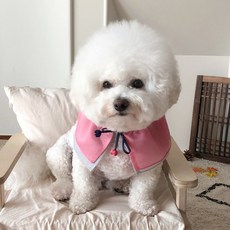 강아지한복케이프