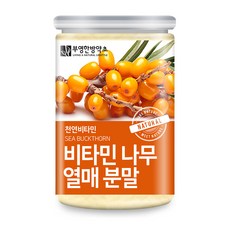 부영한방약초 비타민나무 열매 분말, 400g, 1개