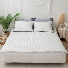 피그먼트카페트