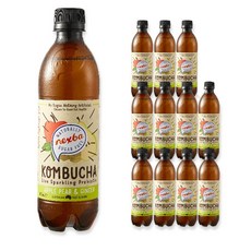 넥스바 무설탕 스파클링 콤부차 사과 배 & 생강, 450ml, 12개