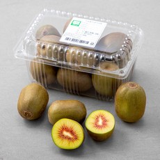 제주도 GAP 인증 레드키위, 900g, 1팩