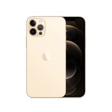 Apple 아이폰 12 Pro, 공기계, Gold, 256GB