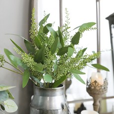 유칼립투스씨앗