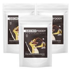 푸디웜 게코 푸디 인섹트 사료, 50g, 3개