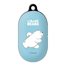 버즈대한항공케이스