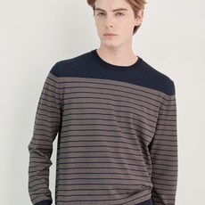 마에스트로프로그램