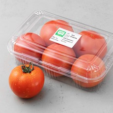 GAP 인증 완숙토마토, 1kg, 1개