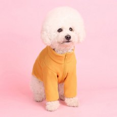 70f1347d-d73e-4b99-bb8a-bf0a8be9c9e7.jpg