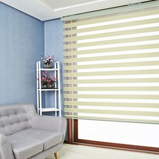 샐리나스블라인드차이점