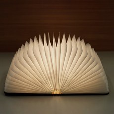 플랜룩스 LED 원목 북 무드등 대, 월넛