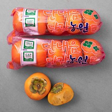 하이프루츠 저탄소 부유단감(봉), 1.8kg(10입), 1개