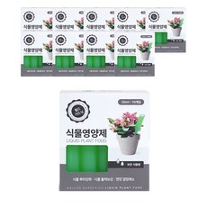 정한그린테크 앰플영양제 35ml x 10p, 10개