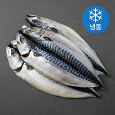 바다자리 자연산 노르웨이 자반고등어 3미 (냉동), 1.2kg, 1팩