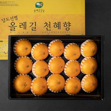 0ff9a5ba-4be3-4765-912e-b32dd9e64ced.jpg