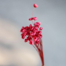 c349283c-22d6-48dc-b2e4-29b8c20486cf.jpg
