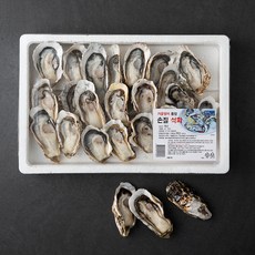 단디프레시 통영 가열조리용 손질 석화 (냉장), 1kg(22~24미), 1개
