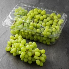 칠레산 씨없는 청포도, 1.8kg, 1개