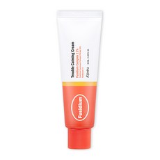 어퓨 후시디움 트러블 진정크림, 50ml, 1개