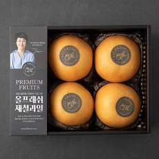 올프레쉬 GAP인증 이윤현 명인 배 선물세트, 1.9kg, 1박스