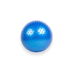 오웬피트니스 짐볼 + 발 펌프 + 마개집게 + 마개 Q02, 블루(짐볼)