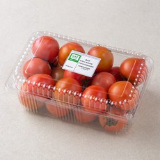 GAP 인증 쫀득이 찰토마토, 1.5kg, 1팩