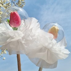 b0f6e3e8-fa6e-46c5-97f3-0ef52b87c6c4.jpg