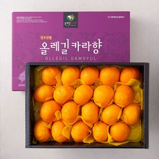 올레길 GAP 인증 당도선별 카라향, 3kg, 1개