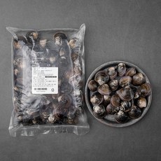 로켓프레시] 바다자리 모시조개, 1kg, 1개
