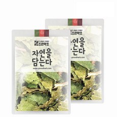 생뽕잎